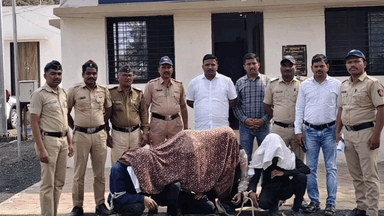 मुर्तीजापूर: चाकण येथून २९०० किमी पाठलागानंतर चार फरार आरोपी अटकेत, मूर्तिजापूर ग्रामीण पोलिसांची कामगिरी