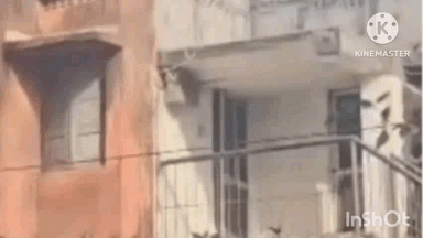 कोरबा: कुसमुंडा थाना क्षेत्र में एसईसीएल कर्मी ने फांसी लगाकर की खुदकुशी, पुलिस जांच में जुटी