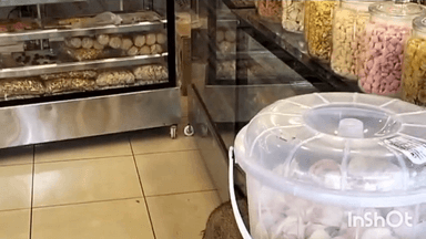 താമരശ്ശേരി: താമരശ്ശേരിയിൽ പട്ടാപ്പകൽ ബേക്കറിയിലേക്ക് കാട്ടുപന്നി ഓടിക്കയറി, ജനങ്ങൾ പരിഭ്രാന്തിയിൽ