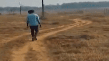 କେନ୍ଦୁଝର ସହର: ଜିଲ୍ଲାରେ ବଡ ଧରଣର ଚାରା ଦୂର୍ଣିତ୍ ନେଇ ଅଭିଯୋଗ ସୂଚନା