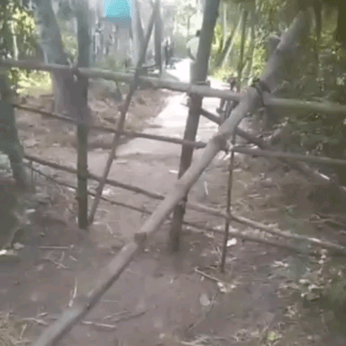 পটাশপুর ২: সরকারি ঢালাই রাস্তার ওপর বাঁশের বেড়া দিয়ে বাড়ি থেকে বেরোনো বন্ধ করে দেয়ার অভিযোগ পশ্চিম ঘোষপুর গ্রামে