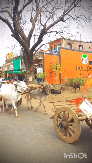 शाहपुर: शाहपुर में उमड़ा जनसैलाब! हिंदू सम्मेलन की ऐतिहासिक रैली का वीडियो सोशल मीडिया पर वायरल