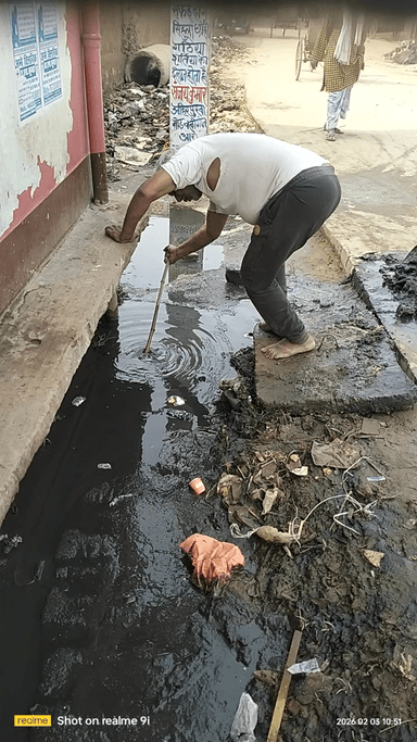 ara ramgariya lala gali mor ke pas bahut hi bura hal h lekin koi nagar nigam ya vad parsad ya meyar ka karvai nhi par r