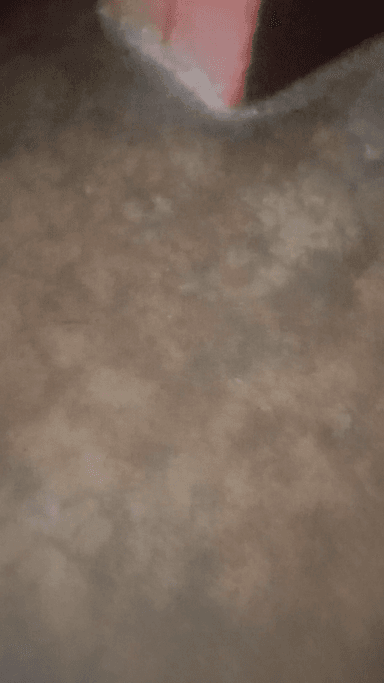 कतडततडथ थबददब थफदबल थभरबर