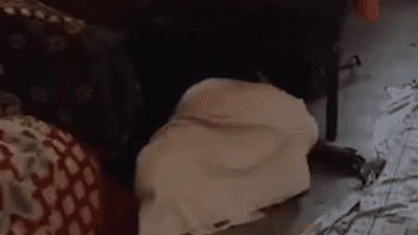 चौमूं: चोंमू में भर्तृहरि गोरखनाथ मंदिर के पुजारी की संदिग्ध परिस्थितियों में मौत, 41 दिनों का कठोर तपस्या का लिया था संकल्प