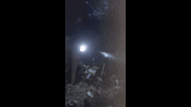 പീരുമേട്: കുട്ടിക്കാനത്തിനും തട്ടാത്തിക്കാനത്തിനും ഇടയിൽ പത്രവിതരണ വാഹനം 300 അടി താഴ്ച്ചയിലേക്ക് മറിഞ്ഞു, ഒരാൾക്ക് പരിക്ക്