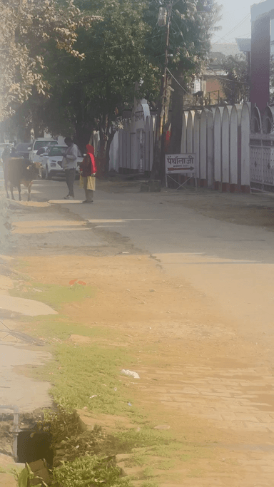 Ye hamare block ke safayi karmi hai 4 din ke baad dikhe hai aur bina jhadu lagaye waha se chale jate hai