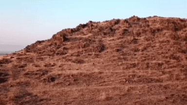 बसमत: कनका येथे कोल्ह्याच्या वेगवेगळ्या हल्ल्यात दोन व्यक्ती जखमी