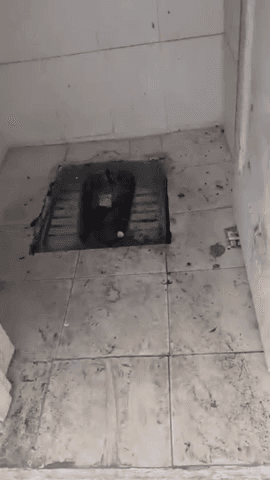 प्रीत विहार: कल्याणपुरी में सार्वजनिक शौचालय की सफाई व्यवस्था ठीक न होने से लोग परेशान