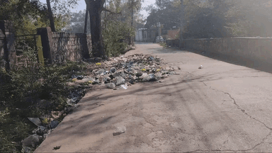 बूंदी: कचरे के ढेर में पशुओं के लड़ने से आमजन परेशान, समस्या का समाधान नहीं हो रहा