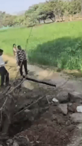 चौमूं: चोमू तहसील प्रशासन ने मंदिर माफी की भूमि पर अतिक्रमण के खिलाफ बुलडोजर चलाकर कार्रवाई की, अतिरिक्त जाप्ता तैनात