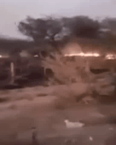 जायल: जायल कस्बे के डीडवाना रोड पर मॉडल स्कूल के सामने खाली पड़ी जगह में देर रात लगी आग