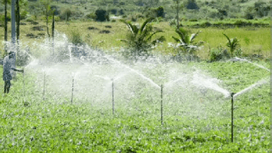 मुर्तीजापूर: पिंपळशेंडा लघुपाटबंधारे योजनेसाठी ६.६० कोटी मंजूर,आमदार हरिष पिंपळे यांच्या पाठपुराव्याला यश