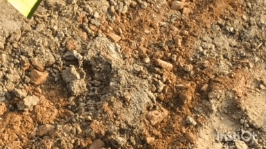 गुना: गुना फतेहगढ़ स्टेट हाईवे पर घटिया निर्माण देख बमोरी विधायक भड़के, ठेकेदार और इंजीनियर को लगाई फटकार