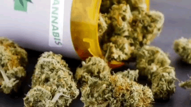 அறந்தாங்கி: நாயக்கர் பட்டி பேருந்து நிறுத்தத்தில் கஞ்சா விற்பனையில் ஈடுபட்ட இருவர் கைது Rs 10,500 மதிப்பிலான 1.1/2 Kg கஞ்சா பறிமுதல்