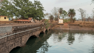 गुण्डरदेही: गर्मी से निजात पाने के लिए भाठागाँव आर पुल के ऊपर से कूदकर नहाते दिखे बच्चे, जो कभी भी हो सकता है जानलेवा साबित