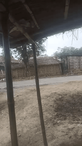 सफाई गांव सेक्टर सफाई स्कूल चौक ब्रेकिंग न्यूज़#@@@