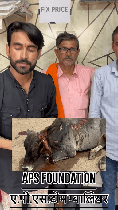 अगर आप से गलती से गाड़ी लगाई है और आप रुक कर गलती मानते हो इलाज कराते हो इहइ सबसे बड़ा पक्षाताप है..!
#apsgurjar