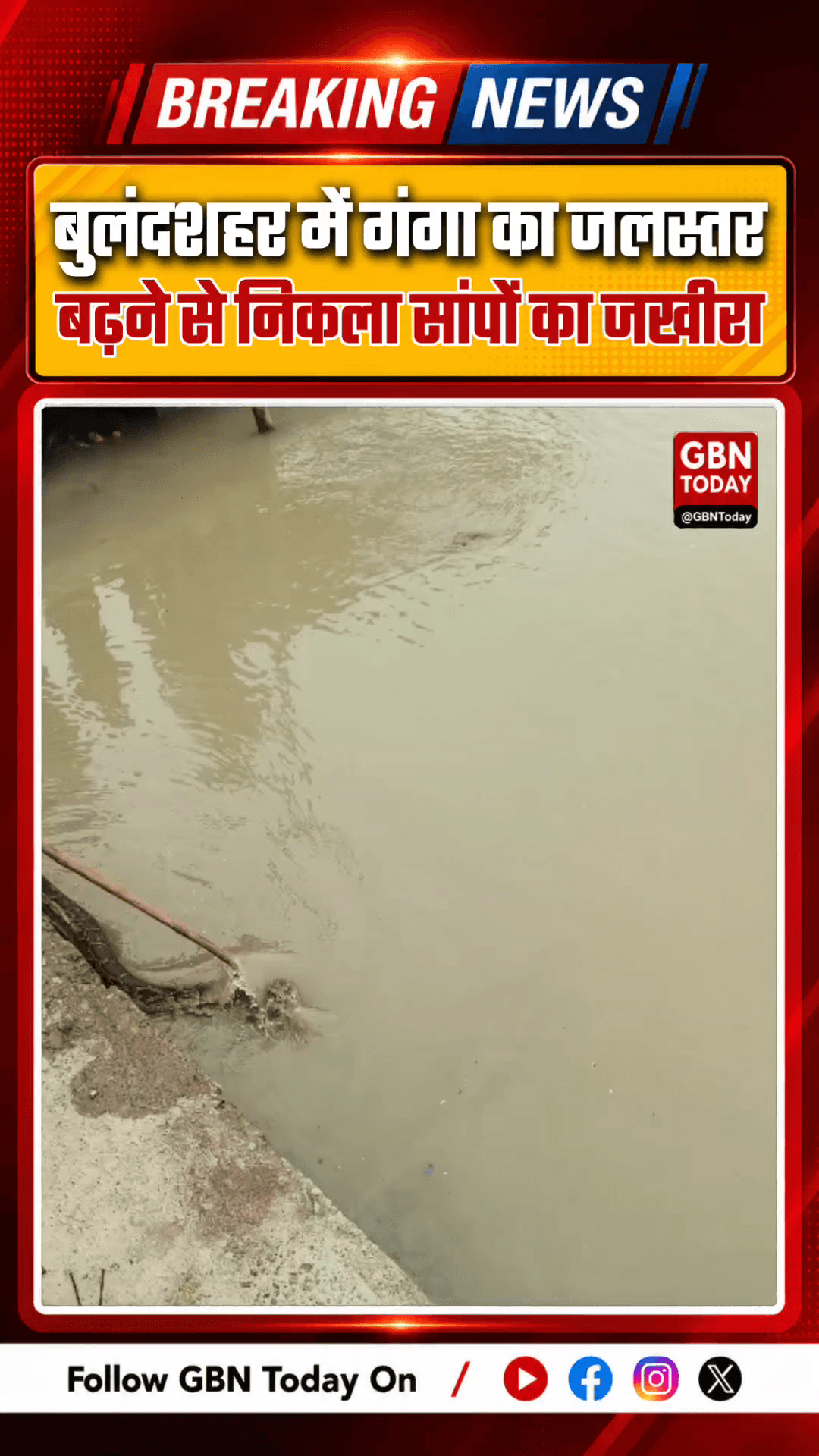 बुलंदशहर: गंगा का जलस्तर बढ़ने से राजघाट पर निकला सांपों का जखीरा #Bulandshahr #Rajghat #Gangariver #SnakeAlert #UPNews