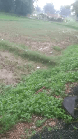 up 64 shahagnj sonabhadra me barish