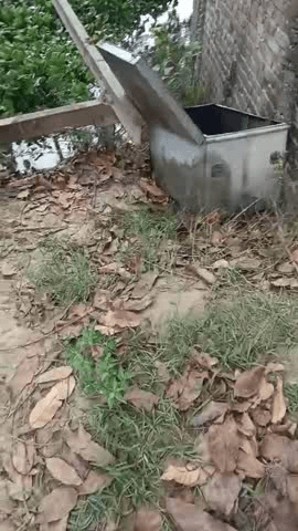 सीतामढ़ी जिला के कपरौल और चैनपुरा गांव के बीच में एक लापाता लाश मिली जिसको पेट्रोल से जलाकर मार दिया गया है पहुंची पुलिस