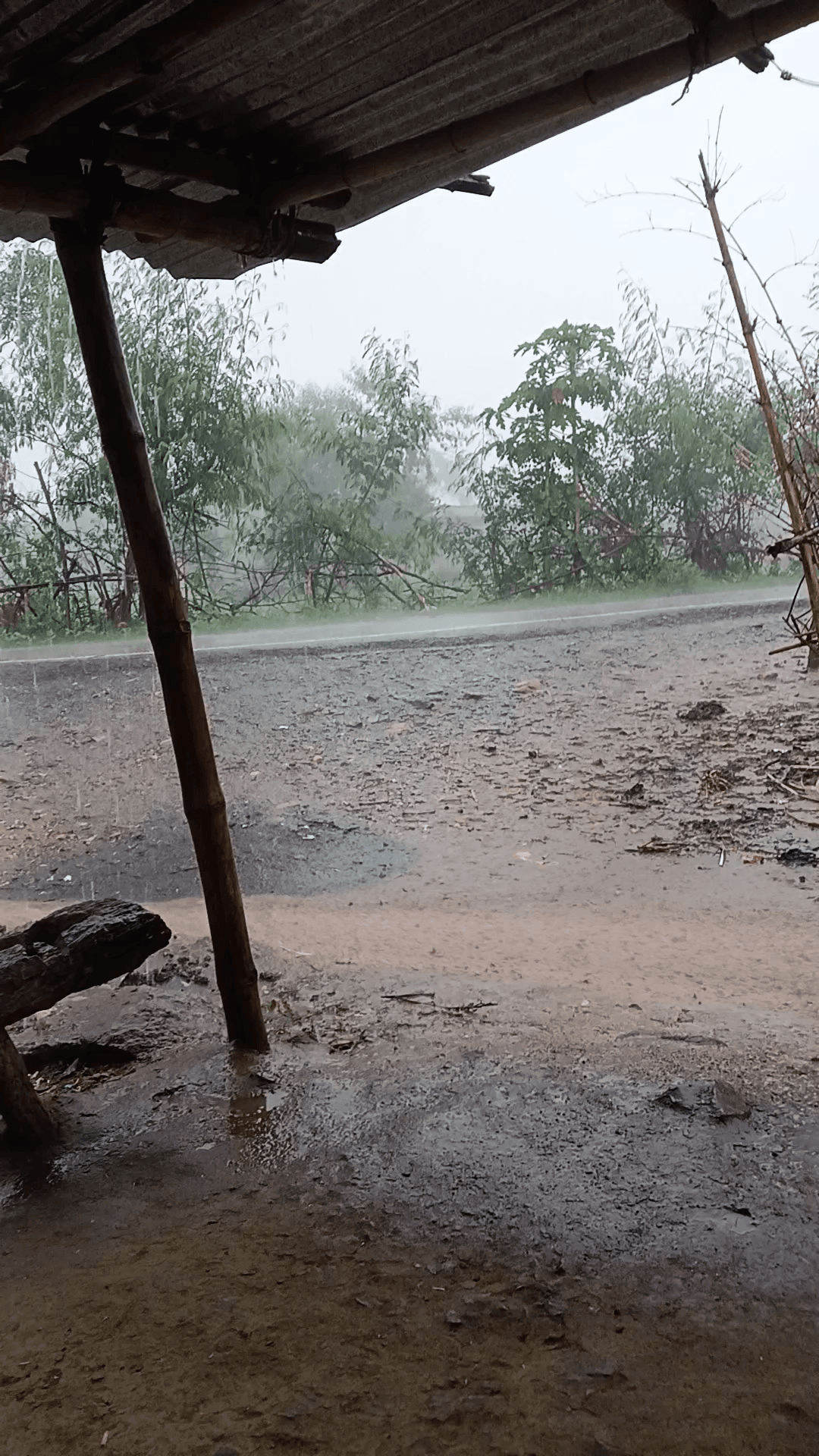 pipra khurd mein Pani gir raha hai aap log ka Ghar gira ki Na aap log dekh sakte hain@#Raushan #vlogs 9241