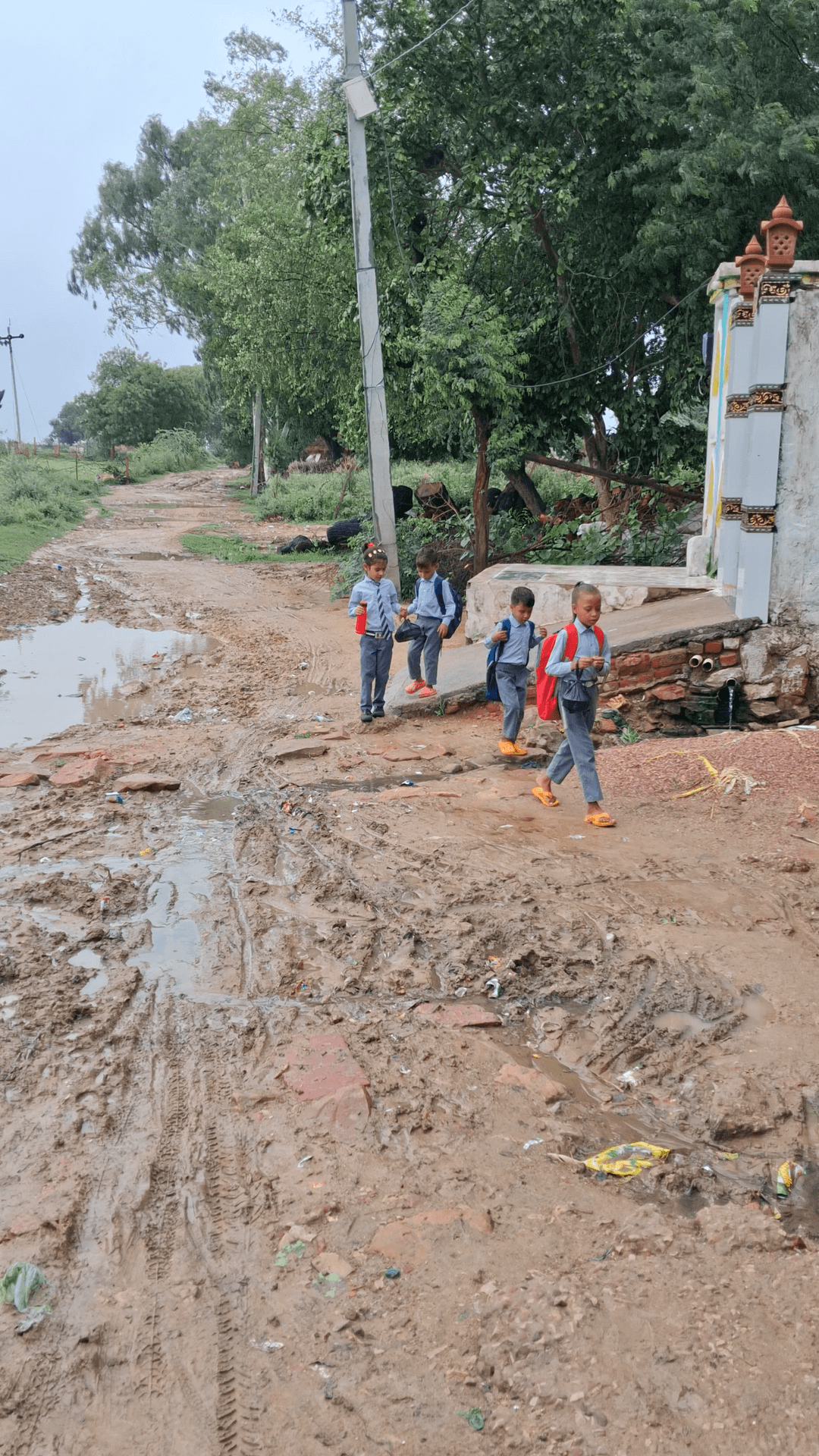 कृपया यहां पर सड़क को बनवाया जाए
purana pitrol pump,basedi road jagner dehaat #road मांग #सड़क निर्माण #थाना jagner