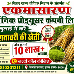 सतावार की खेती है किसानो के लिए वरदान