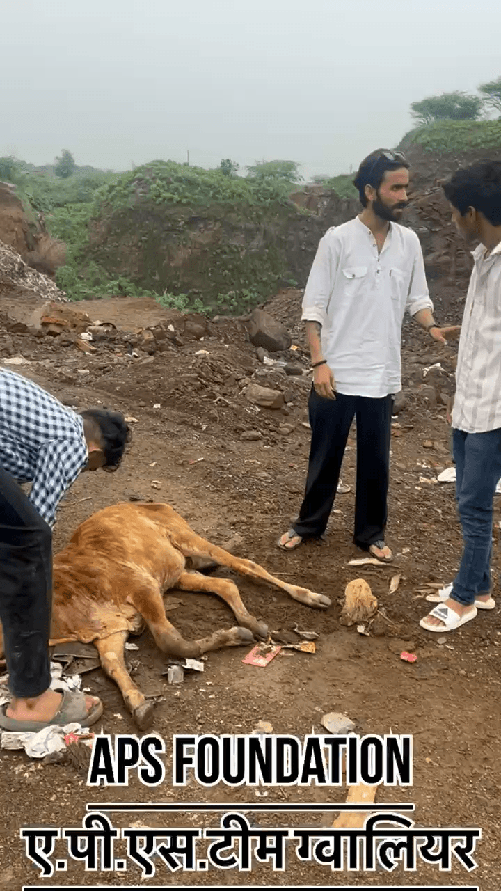 इस बच्चे को तीन लोग काटने के लिए ले गए थे। लड़के तो किसी तरह भाग निकले, लेकिन हम बच्चे की जान नहीं बचा पाए।..!
#apsgurjar #viral #gwalior