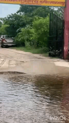 भरतपुर: भरतपुर में पेड़ पर चढ़ी नाबालिग, आधे घंटे तक अधिकारियों ने समझाने की कोशिश की