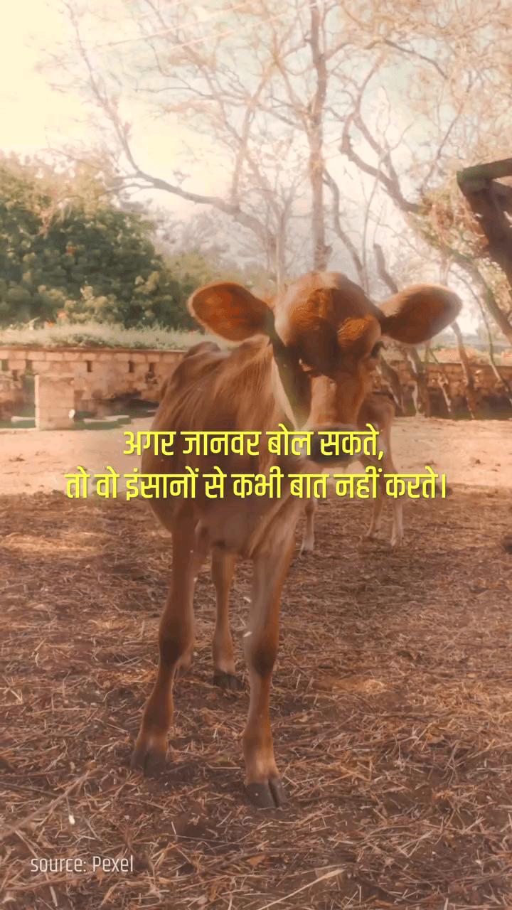 जंगल किसके? || आचार्य प्रशांत