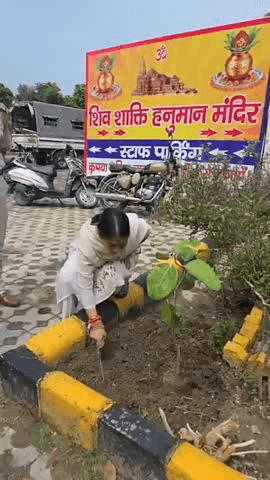 यमुना विहार: न्यू अशोक नगर थाने में वृक्षारोपण कार्यक्रम में पार्षद मुनेश शामिल हुईं, पेड़ लगाने की अपील की