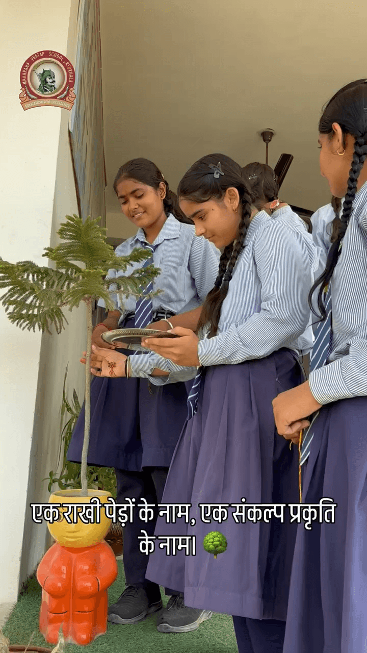 चूरू: छात्राओं ने पेड़ों को राखी बाँधकर प्रकृति के प्रति अपने प्रेम और जिम्मेदारी का अनूठा संदेश दिया। #savetree #mps #school
#