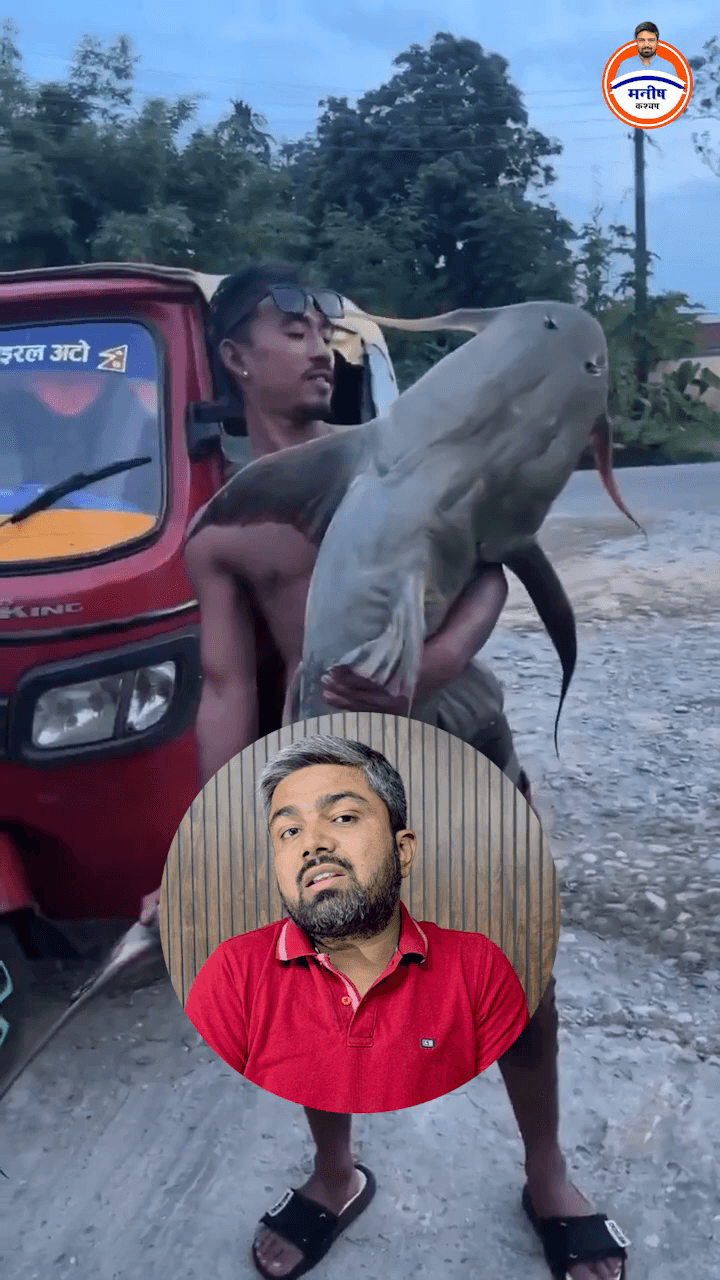 चीन से बाढ़ में आया हुआ मछली भारत के लोग ना खाएँ , इससे आप धीरे-धीरे बिहार पड़ सकते हैं । क्योंकि यह रिसर्च ।।