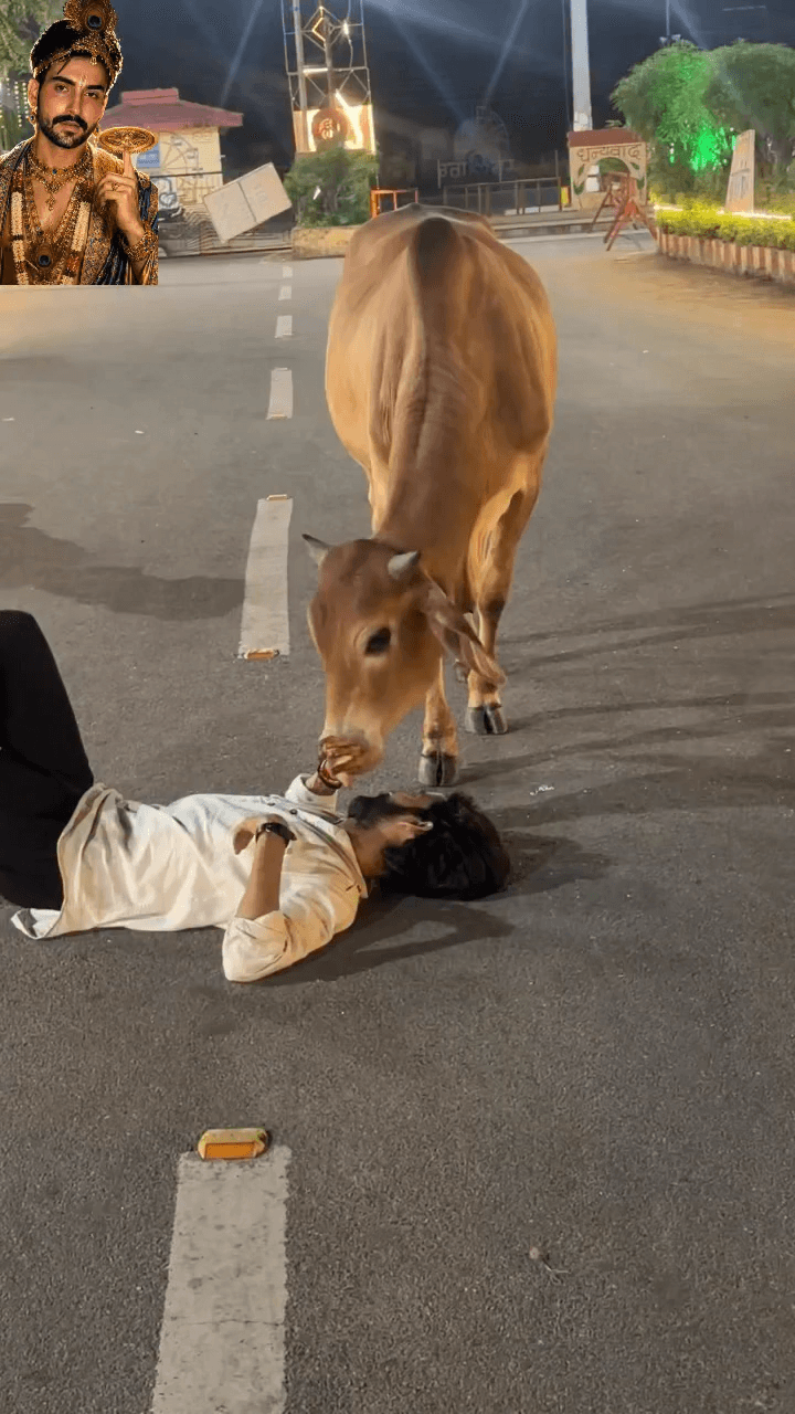 आज का दिन कान्हा के नाम ❤️🙏
राधे-राधे, जय श्री कृष्ण 🦚💙
Respect Girls help poor help animals
#apsgurjar #viral #gwalior