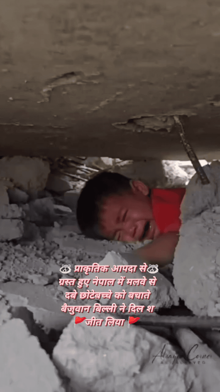 नेपाल में मलवे के नीचे दबे एक बच्चे को इस बिल्ली ने मुँह से खींचकर बाहर कर रही हैं जरा देखो इस वीडियो को #pablic #viral