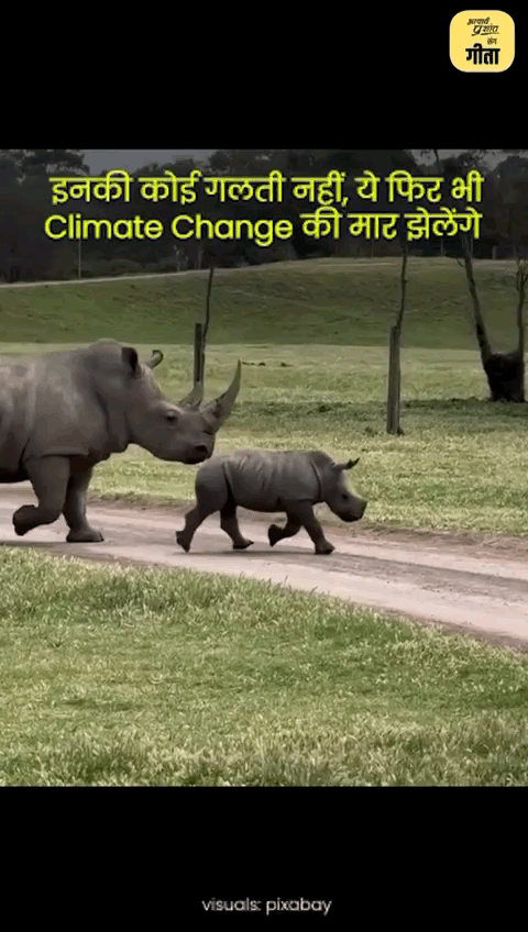 अमीर उत्सर्जन कर रहा है, गरीब भुगत रहा है। प्रकृति में प्रजातियों का विलोप आज प्राकृतिक दर से 100 गुना ज्यादा गति पर हो