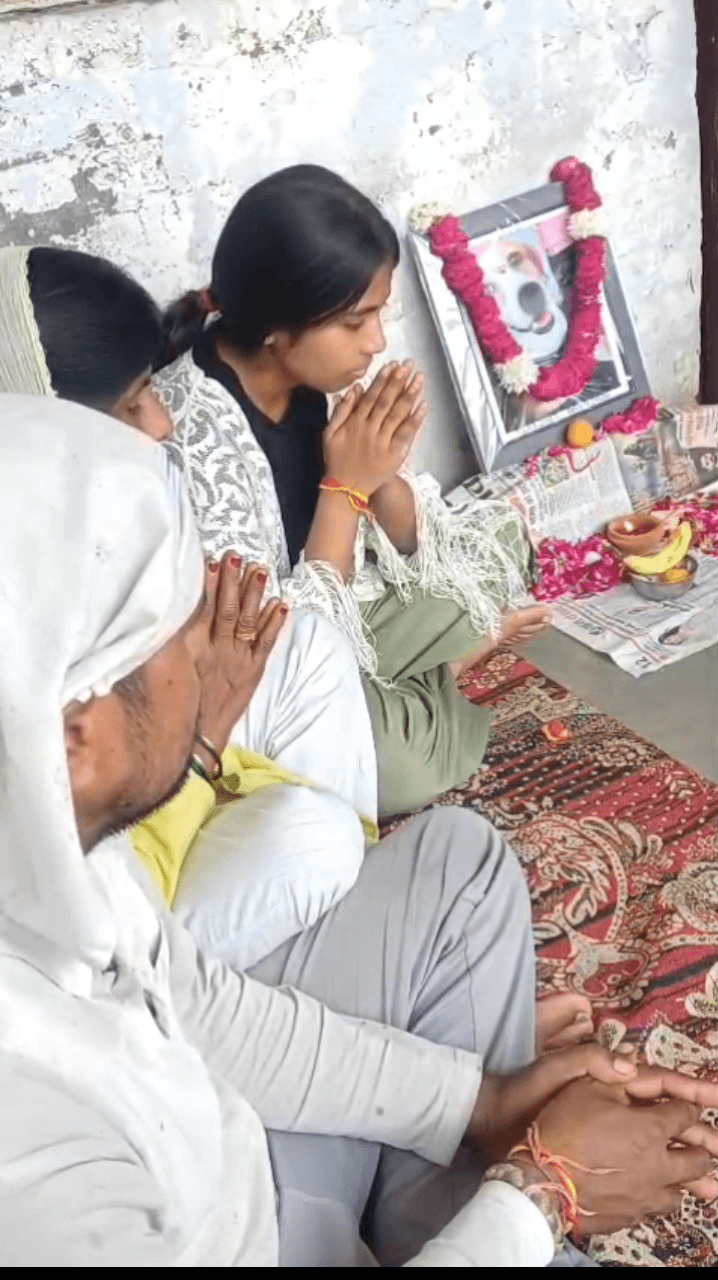 मेरठ: मेरठ में पालतू कत्ते 'टफ्फू' की तेरहवीं पर मालिक के घर तीन दिन तक नहीं बना खाना, पूड़ी-सब्जी और मिठाई
