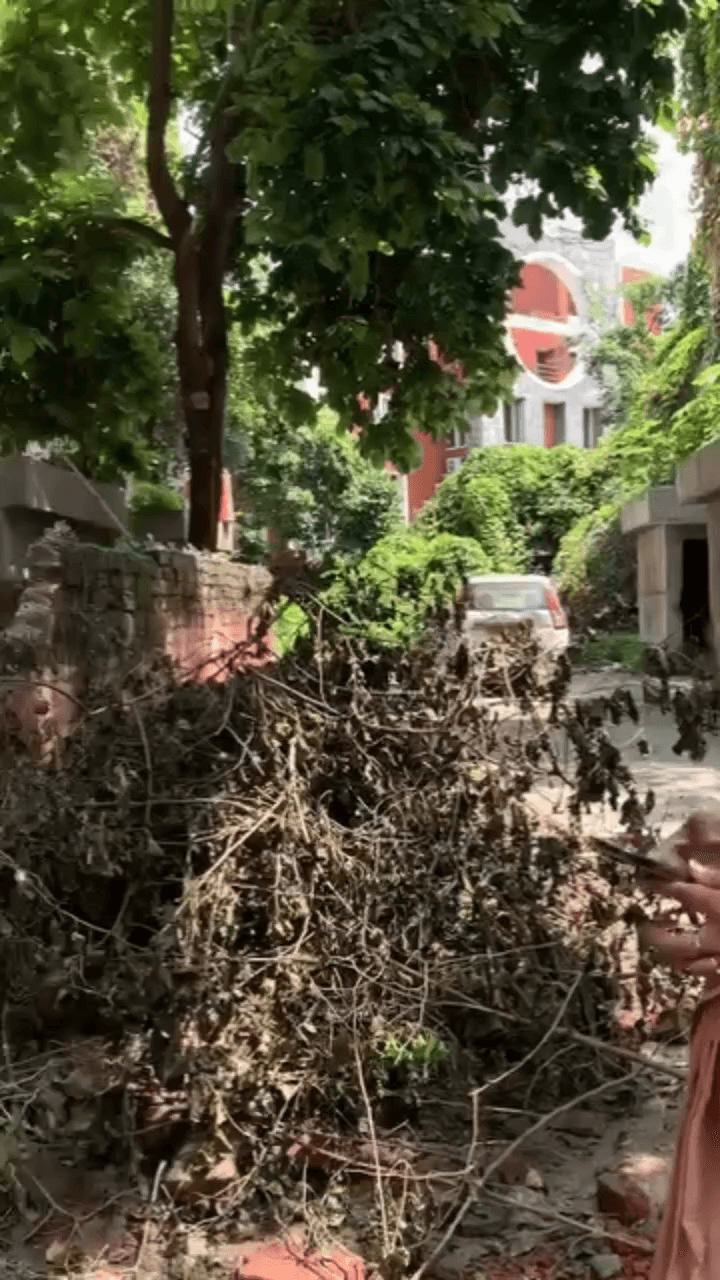 यमुना विहार: उस्मानपुर में पाइप फटने से MCD फ्लैट्स में भरा पानी, सत्या शर्मा ने लिया जायजा