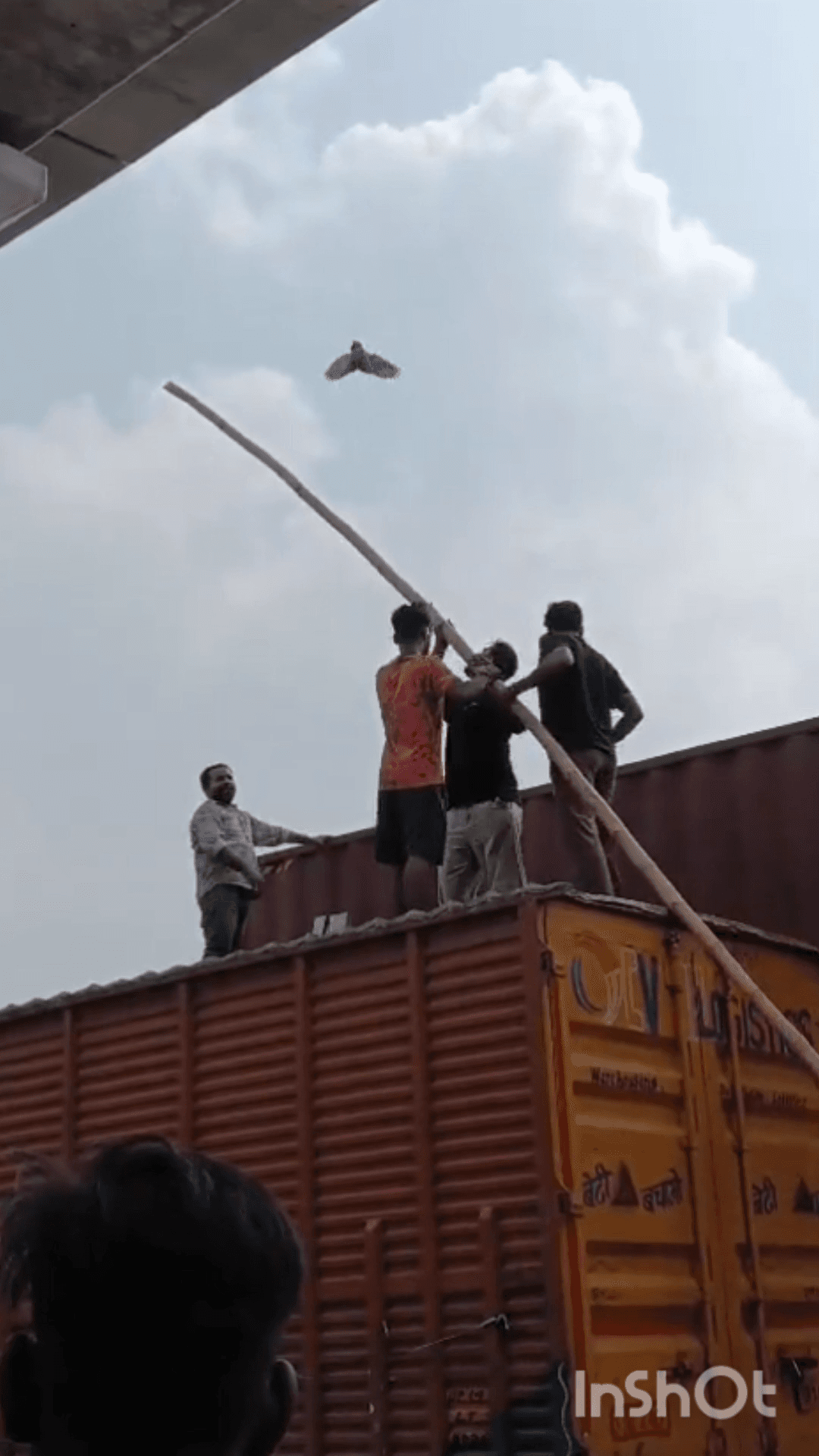 गाज़ियाबाद: पतंग के मांझे में फंसे कबूतर को लोगों ने वाहनों को रोककर ऊपर चढ़कर बचाया