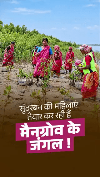 सुंदरबन की बेटियाँ रच रही हैं हरियाली की नई कहानी!