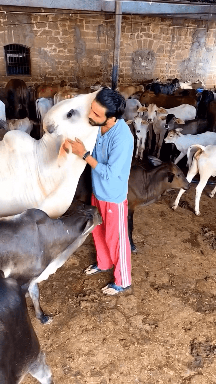 इस दुनिया में कोई किसी को पूरी तरह समझ नहीं सकता…
Respect Girls help poor help animals
#apsgurjar #viral #gwalior
