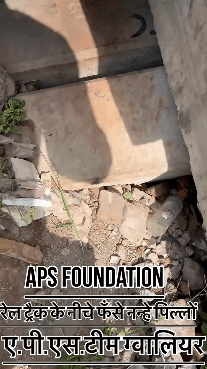 🙏❤️ इंसानियत आज भी ज़िंदा है! 🐕🐾
#apsgurjar #viral #dogstagram #gwalior