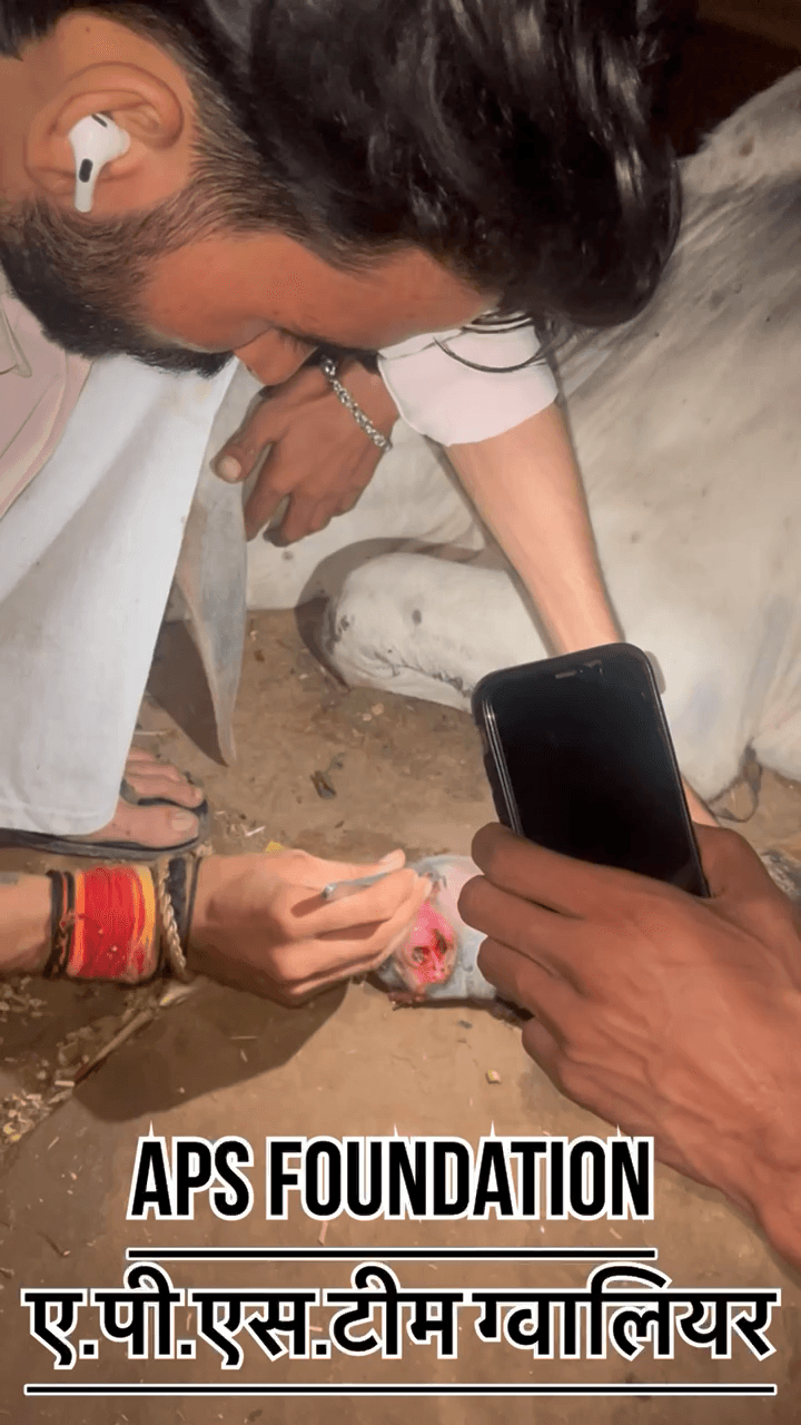 🙏❤️ सेवा ही हमारा धर्म, गौमाता की रक्षा ही हमारा संकल्प! 🐄🚩
Respect girls help poor help animals
#apsgurjar #viral #gwalior