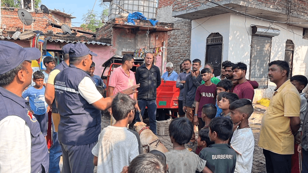 फरीदाबाद: राहुल कॉलोनी और एनडी पहाड़ी में नार्को डॉग चार्ली के साथ नशे के खिलाफ सर्च ऑपरेशन