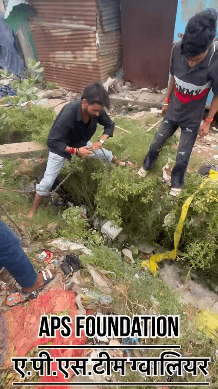 ⚠️ ग्वालियर के खुले नाले आखिर कब बंद होंगे?
#apsgurjar #viral #gwalior