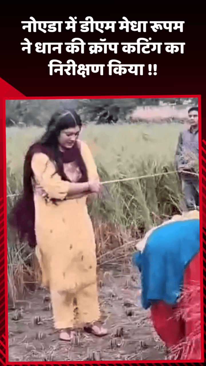 जेवर: नोएडा में निर्माणाधीन बिल्डिंग की शटरिंग गिरी, 12 से ज्यादा गाड़ियां हुईं क्षतिग्रस्त