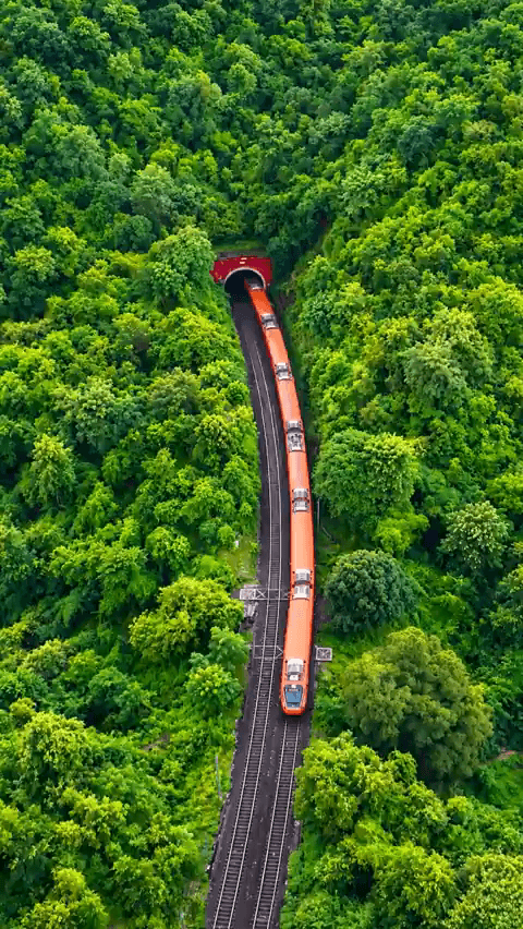 An orange streak of speed & comfort, painting its way through the lush green curves of Gurpa–Gajhandi Ghat Section!