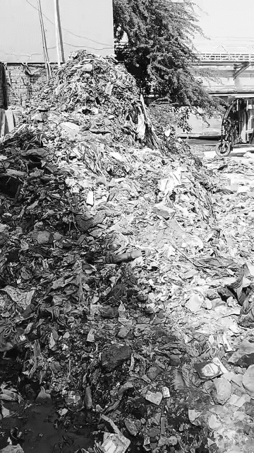 यमुना विहार: गांधी नगर में गंदगी की हालत पर भड़के कांग्रेस नेता ने रेखा गुप्ता पर साधा निशाना