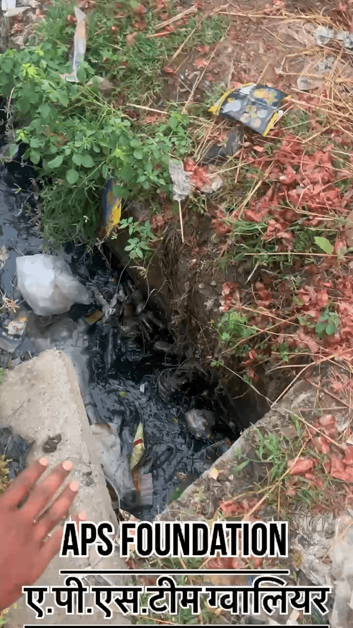 🚨 ग्वालियर की व्यवस्था पर बड़ा सवाल! 🚨
📍 स्थान – पिंटो पार्क, ग्वालियर
#apsgurjar #viral #gwalior